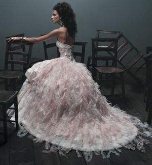 Pictures of feathers - Luscious blog - pretty dress.jpg